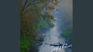 Bird River Ambience
