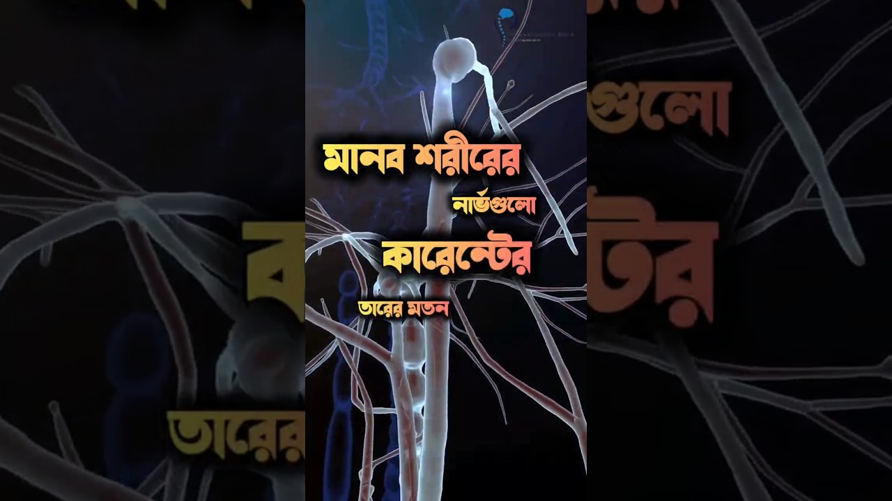 NCV টেস্ট কেন জরুরি? | Dr. Sabyasachi Saha | 