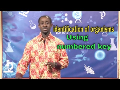 Using numbered key || identification of organisms