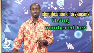 Using numbered key || identification of organisms