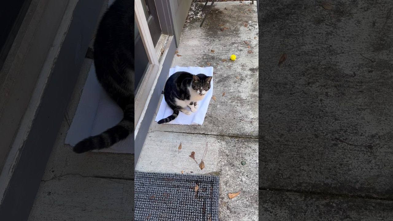 Мика опоздал