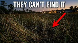 Florida Has a Python Problem — And It's Getting Wo