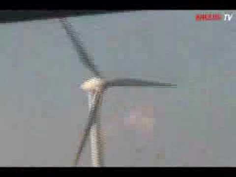 RHESUS_TV_PART5