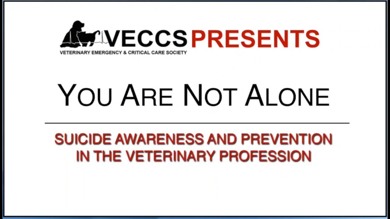 You Are Not Alone - Suicide Awareness and Prevention in the Veterinary ...