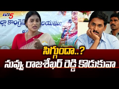 సిగ్గుందా..? నువ్వు రాజశేఖర్ రెడ్డి కొడుకువా | YS Sharmila Sensational Comments on YS Jagan | TV5 - TV5NEWS