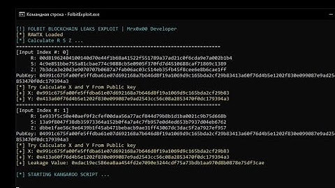 Bitcoin Private Key Recovery ECDSA | Pollard’s Kangaroo Secp256k1 | 2024 #bitcoin