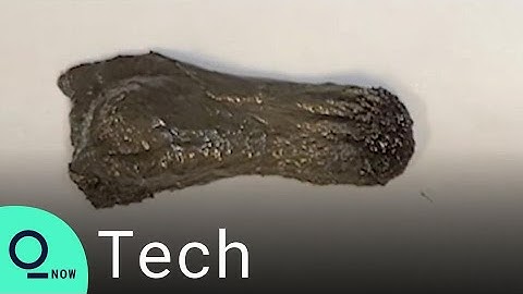 Slug-Like Robot Could Operate Inside Your Body