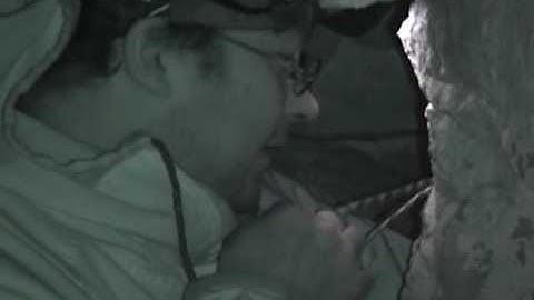 Netstumbler Cave Wiffy