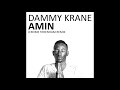 Dammy Krane Amin Jerome Sydenham Remix Ibadan Records IRC130 mp3