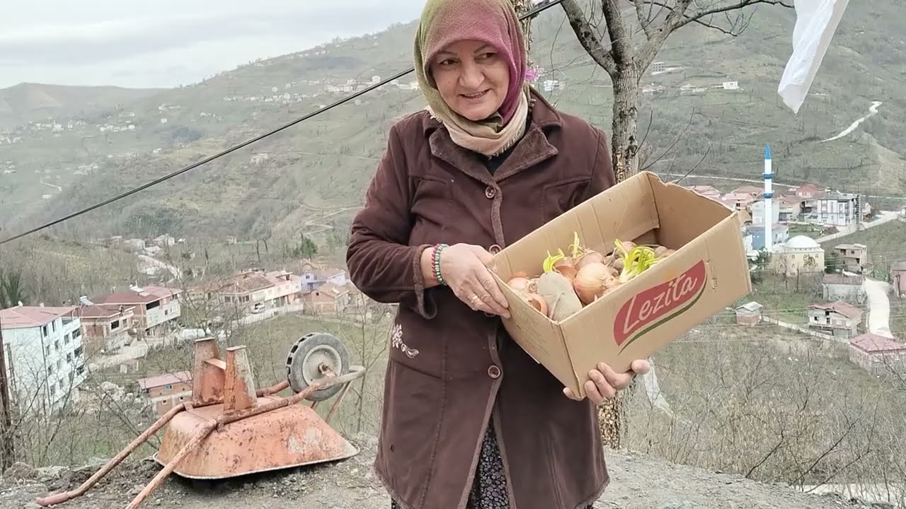 HAVANIN GÜZELLİĞİ KÖYDE BAHÇEME SOĞAN PATATES EKİYORUM👍