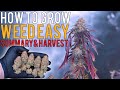 How to grow weed easily photoperiods full grow summary  harvest results  680w 5x5