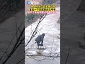 【大陸】萌娃求抱抱！1歲半萌娃返鄉過年下車奔向太爺爺