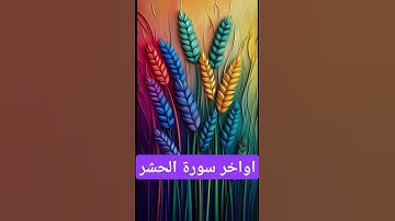 اواخر سورة الحشر #quran #دويتو #تيك_توك #دعاء #صباحالخير #duet #دعاءمستجاب #لايك #حالاتواتس #ترند