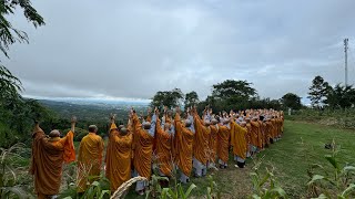 NIKAYA Khất Thực - Thế Tôn Ơi ! Con Đã Về Trúc Lâm ** - Trình Pháp