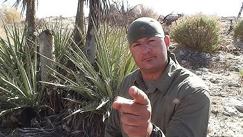 Mojave Yucca Reverse Wrap Cordage