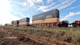 CSR006 & CSR019 Condobolin West NSW. Wed 26th Mar 2025