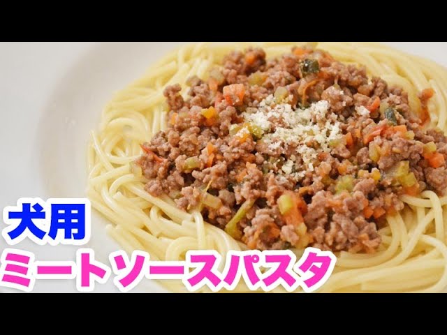 手作り犬ご飯 ミートソースパスタ 作り方 Youtube