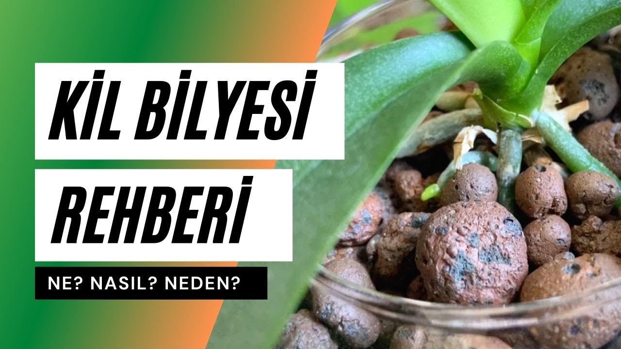 Kil Bilyesi ile Bitki Bakımı 🌿  Bitki Besini - Sulama - Saksı Değişimi
