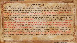 John 11-12