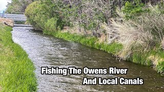 Fishing The Owens River and Local Canals