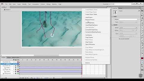 Tutorial cara membuat aquarium pada adobe flash pro cs6