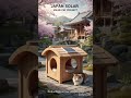 Mindful Moments!#HanamiVibes#HanamiCare#WarmHearts#SolarCatJoy#HanamiMoments