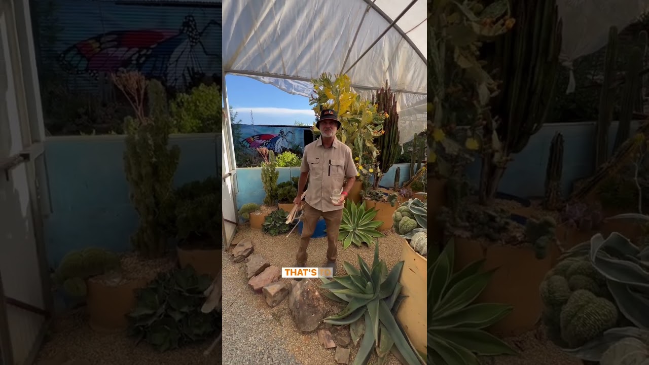 Look at Jim go, cleaning up the Cactus garden like a pro!