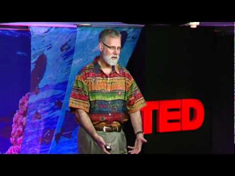 Rob Dunbar: The threat of ocean acidification