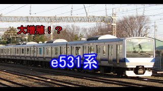 ゆっくりの鉄道講座第13回 大増殖!?e531系編