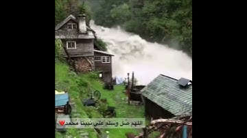 اللهم صل وسلم على نبينا محمد❤️ | قران كريم يوم الجمعه
