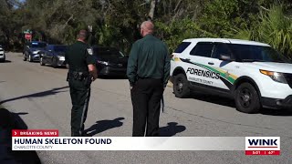 Body discovered in wooded area in  Charlotte County