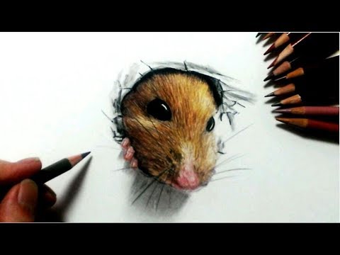 色鉛筆でハムスターが出てきたとこを描いてみた Youtube