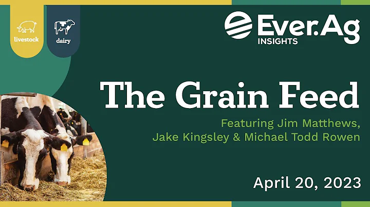 The Grain Feed - April 20, 2023