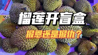 2024年开的第一个盲盒榴莲，自己拆The first blind box durian opened in 2024, open it yourself