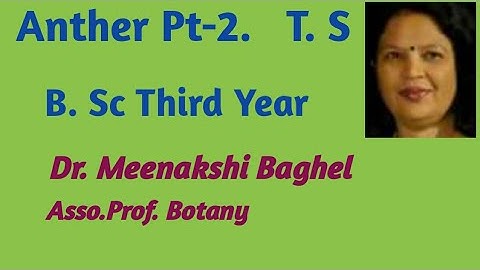 Anther Pt-2 Microsporogenesis