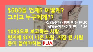 실업급여/실업수당을 받으면 준다는 $600 드디어 알려주는 언제? 어떻게? 구체적인 자격 조건? / FPUC, 1099, $0로 받은 사람들한테 필요한 PUA [미국생활이야기]