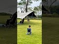 绿草如茵的草地是孩子们的乐园