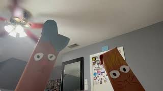 IMG 5956