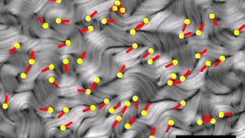 Retardance Video of 2D Active Nematic