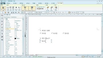 아래아한글 문서에서 라디오 버튼 사용하기