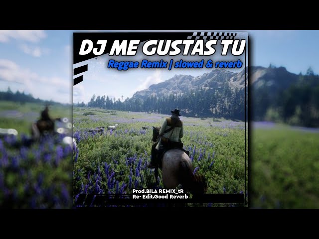DJ Me Gustas Tu Reggae Remix | slowed & reverb version class=