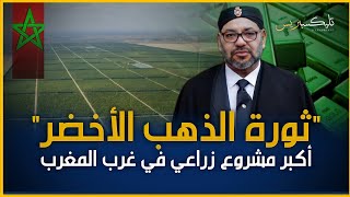 ثورة الذهب الأخضر أكبر مشروع فلاحي بغرب المغرب | الأفوكادو كنز مغربي يتطور بتكنولوجيا إسرائيلية