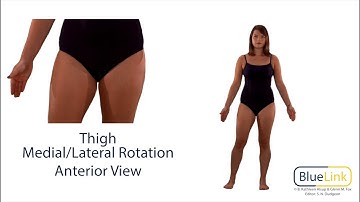Thigh Medial Lateral Rotation