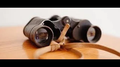 What Do You See?  (Elder Ronald Collier -- October...