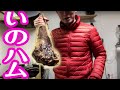 虫わいてた猪の生ハム食べ比べてみた！33ヶ月熟成と12ヶ月熟成の食べ比べと。