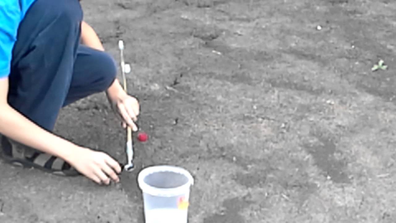 Марганцовка и перекись водорода - YouTube