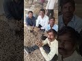 Latest Price Of Ashwagandha In Neemuch Mandi Sandeep Agriculture Agriculturefarming 