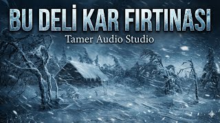 Bu Deli Kar Fırtınası - Tamer Studio