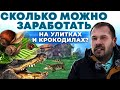 Идеи для Бизнеса в деревне | Как заработать Деньги на улитках и крокодилах | Андрей Даниленко