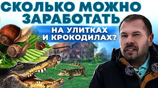 Идеи для Бизнеса в деревне | Как заработать Деньги на улитках и крокодилах | Андрей Даниленко